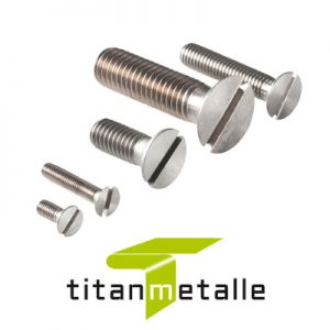 Titanium bolt 3.7035, Grade 2 DIN 963 M4x8