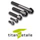 Titanschraube 3.7165, Grade 5 DIN 912 konischer Kopf M6x35 SCHWARZ