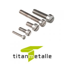 Titanium bolt 3.7035, Grade 2 DIN 84 M5x12